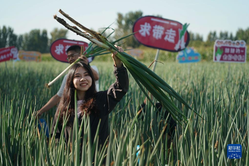 通宝tb老虎机平台